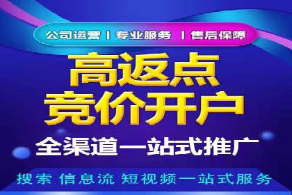 案例分析：SEM竞价代运营策略优化
